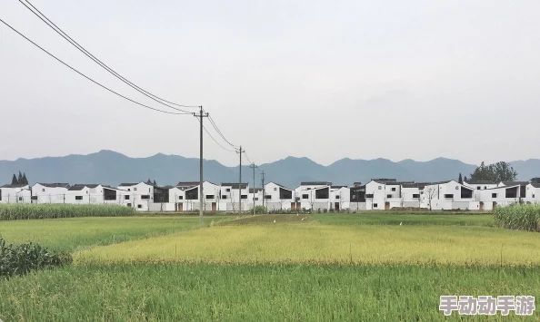 探索亚洲文化的多样性与魅力:从传统到现代的深度剖析 探索亚洲文化的多样性与魅力:从传统到现代的深度剖析