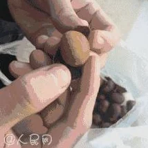 h嗯啊抵在墙上狠狠撞击网友纷纷表示这种行为太过激烈，可能会造成身体伤害，希望大家注意安全和健康
