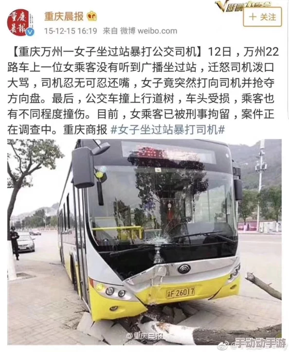 短篇强公交车500篇小说网友认为这部作品通过生动的故事展现了城市生活的多样性，深受读者喜爱，值得一读