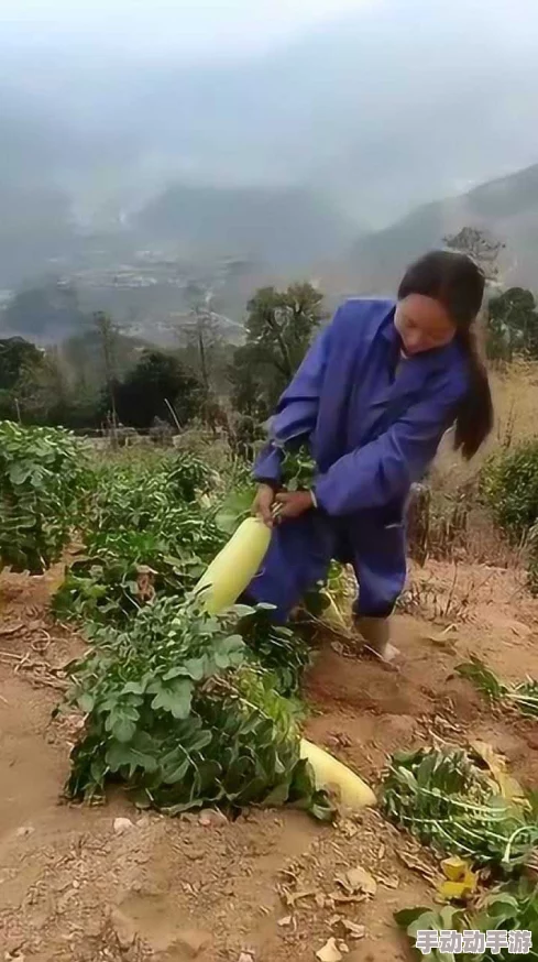 拔萝卜日本视频在线观看免费网友认为该视频内容丰富，画面清晰，适合各类观众观看，同时也有不少人表示希望能增加更多互动元素