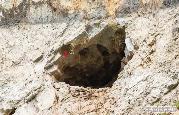 二人生猴子不盖被子真实！惊现神秘动物共处竟引发热议，网友热议背后故事令人震惊！