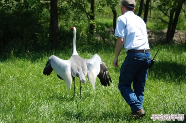 胡桃触摸破解版 无限亲密值,这个游戏真不错,亲密值无限让人玩得停不下来! 胡桃触摸破解版 无限亲密值,这个游戏真不错,亲密值无限让人玩得停不下来!