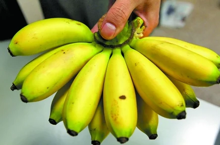 香蕉久久ac一区二区三区网友认为这个标题有些模糊，可能涉及成人内容，但也有人觉得它很有趣，吸引了他们的好奇心