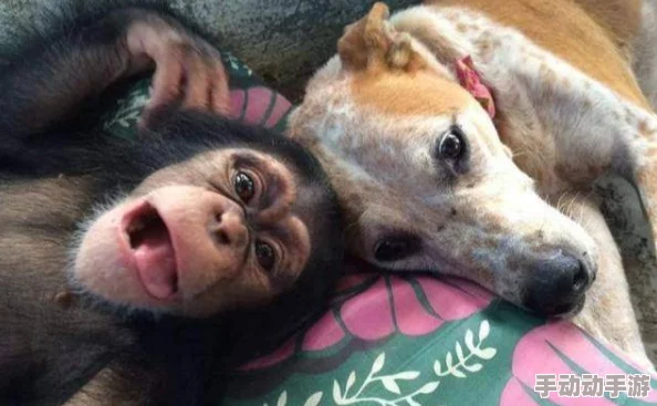 太久回家不迷路，这个话题真有意思，很多人都有类似的经历，值得分享