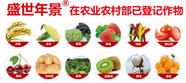 指尖学园：全面指南——如何种植作物与烹饪美食的技巧解析