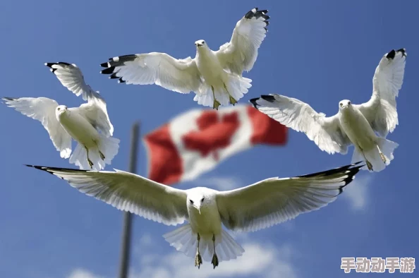 Free鉂屸潓鉂寁ideo85D:最新进展与未来发展方向的深入分析与探讨 Free鉂屸潓鉂寁ideo85D:最新进展与未来发展方向的深入分析与探讨