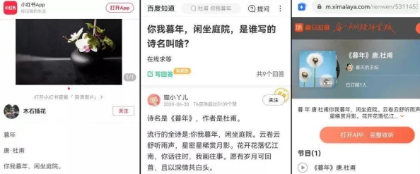 多情成仁网网友认为这个平台为情感交流提供了良好的空间，许多人在这里分享自己的故事和经验，互相支持与鼓励