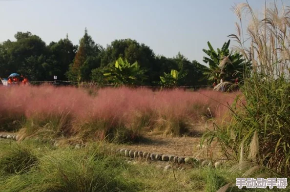 浏览器正能量网站免费网友认为这些网站提供了积极向上的内容，能够帮助人们在繁忙的生活中找到心灵的慰藉和动力