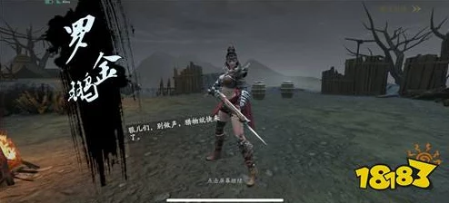 流星蝴蝶剑手游深度攻略：萧银鹏角色打法技巧与心得全面分享