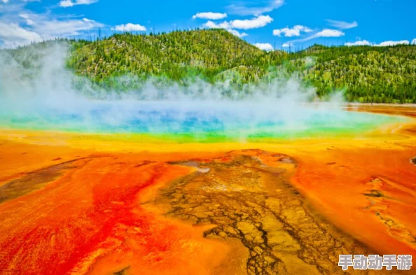 东南亚10一12仙踪林的旅游景点：新动态揭示隐藏的自然奇观与文化体验，吸引更多游客前来探访