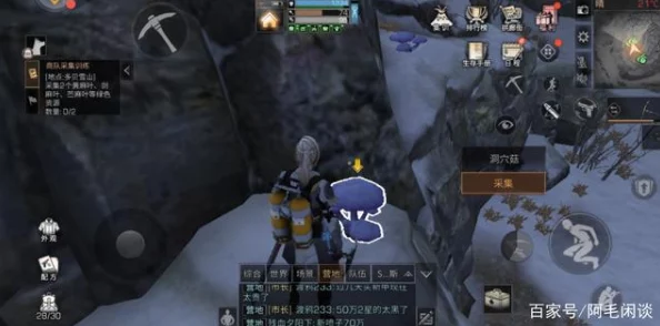 明日之后：获取龙葵攻略，多贝雪山安娜任务线助你收集稀有材料