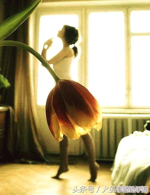 免费爱爱片,内容丰富多样,让人眼前一亮,值得一看! 免费爱爱片,内容丰富多样,让人眼前一亮,值得一看!