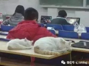 在教室强奷小箩莉视频网友对此表示强烈反对，认为这种行为严重影响了学生的身心健康，应当受到法律制裁