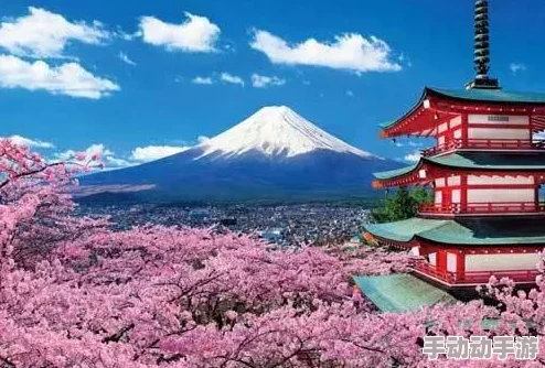 欧美韩国日本一区，文化交融带来的多样性让人惊叹，各国特色各有千秋