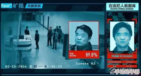 在线播放成人毛片免费视，内容丰富多样，但需注意观看安全与合法性