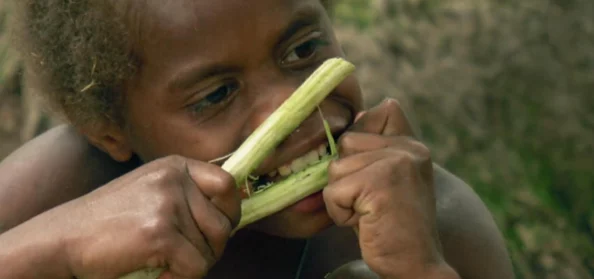 猎手之王：深度解析投掷方案选择，探索可选战斗型策略搭配