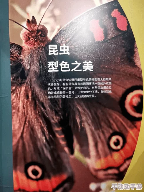 午夜免费福利片观看,内容丰富多样,真是个不错的选择,让人欲罢不能 午夜免费福利片观看,内容丰富多样,真是个不错的选择,让人欲罢不能