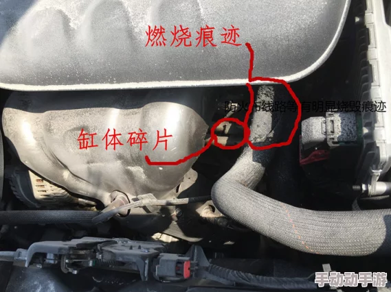 强制被绑用大号振动器弄到大叫网友认为这种行为侵犯了个人自由和尊严,应该加强对相关内容的监管与法律约束 强制被绑用大号振动器弄到大叫网友认为这种行为侵犯了个人自由和尊严,应该加强对相关内容的监管与法律约束