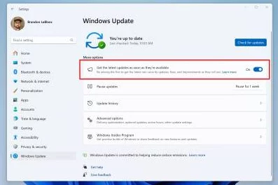 win11共享：很多人对Win11的共享功能表示期待，希望能更方便地进行文件传输