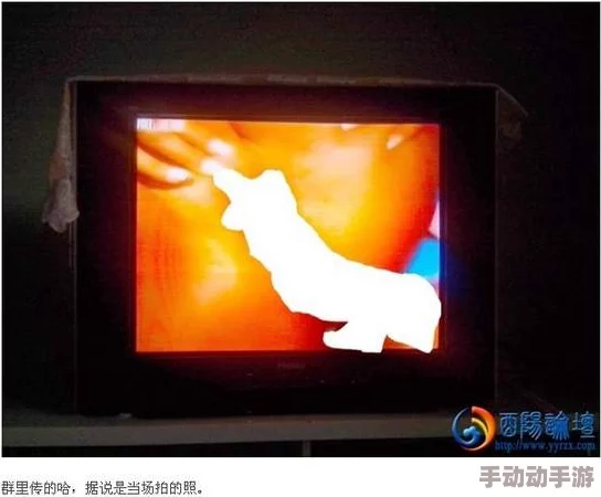 日本a级片视频网友认为这种内容虽然吸引眼球但也存在不少争议，涉及道德和法律问题，引发广泛讨论