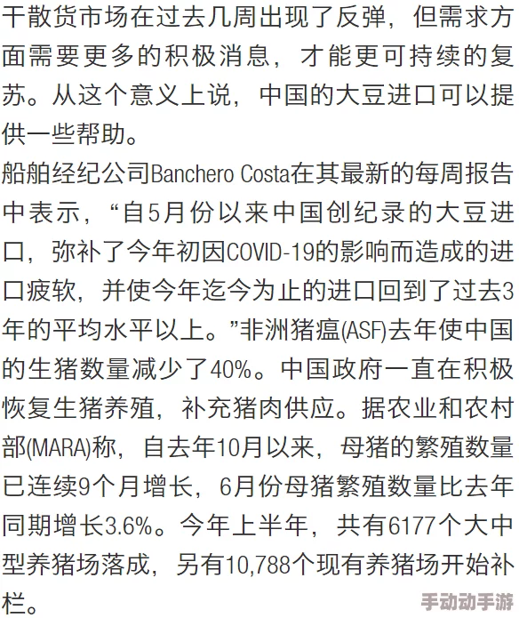 大豆行情网果冻传媒，真是一个有趣的组合，让人对市场动态充满期待！
