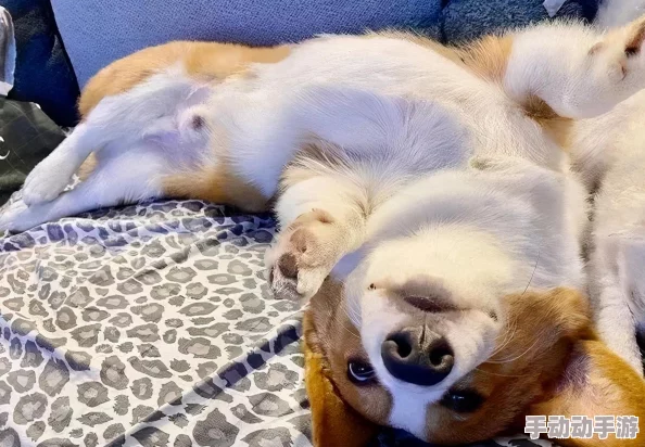 乖让我尿到里面好不好h,这种话题真是让人感到无奈,网络上怎么会有这样的讨论呢? 乖让我尿到里面好不好h,这种话题真是让人感到无奈,网络上怎么会有这样的讨论呢?