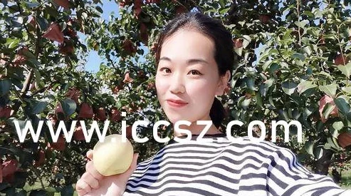 国产麻豆剧果冻传媒免精品费网站引发网友热议，大家对其内容质量和观看体验有不同看法，讨论颇为激烈