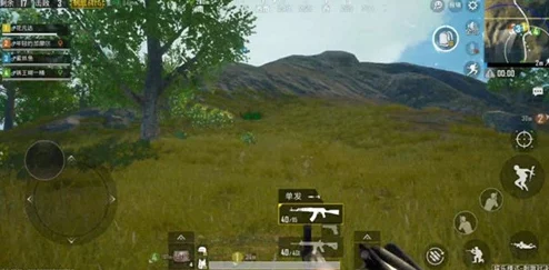 绝地求生刺激战场报点技巧与注意事项全解析 绝地求生刺激战场报点技巧与注意事项全解析