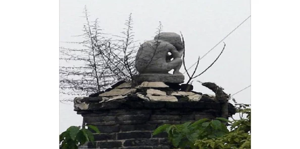 两个人生猴子,真是让人感到不可思议,这样的选择背后有什么故事呢? 两个人生猴子,真是让人感到不可思议,这样的选择背后有什么故事呢?