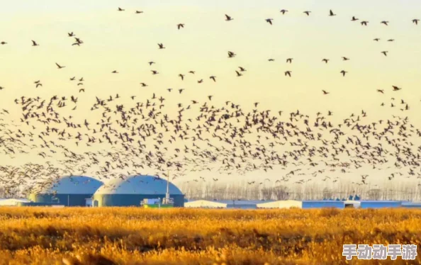 亚洲天堂视频在线播放，内容丰富多样，画质清晰，是我最喜欢的观看平台之一