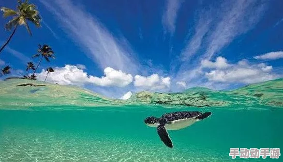 亚洲天堂视频在线播放，内容丰富多样，画质清晰，是我最喜欢的观看平台之一