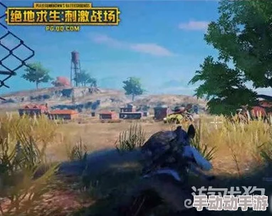 绝地求生刺激战场：优化画面设置小技巧揭秘，轻松应对伏地魔不再惧怕