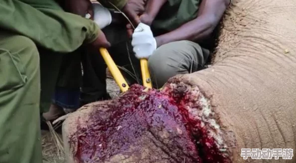 中国女厕通偷窥piss,真是让人感到无比愤怒和不安,这种行为必须严惩! 中国女厕通偷窥piss,真是让人感到无比愤怒和不安,这种行为必须严惩!