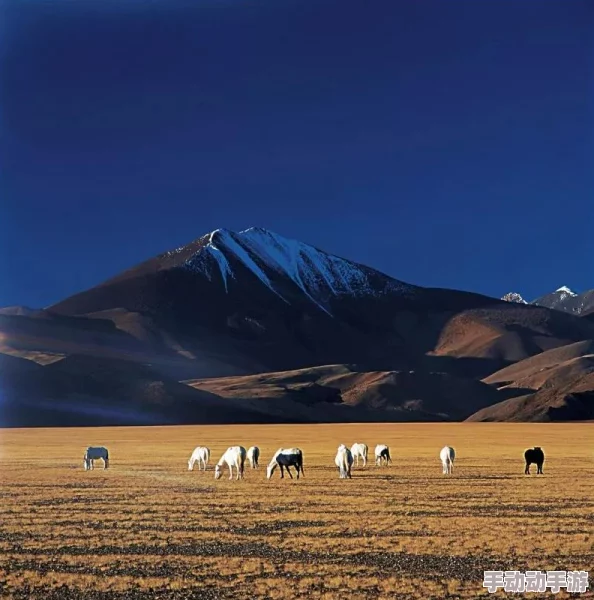 亚洲久久天堂,真是一个让人向往的地方,充满了神秘与魅力 亚洲久久天堂,真是一个让人向往的地方,充满了神秘与魅力