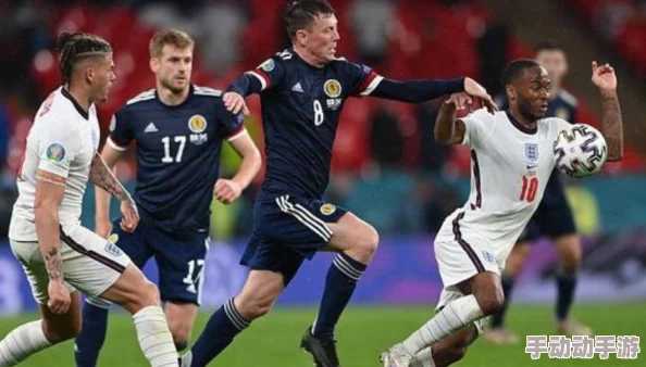 全免费午夜一级毛片，这个内容真是让人惊讶，完全没想到会有这样的资源！