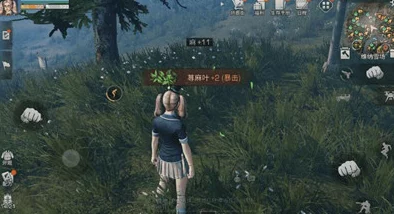 《明日之后》采麻工职业全面剖析：优缺点深度解读与职业发展探讨