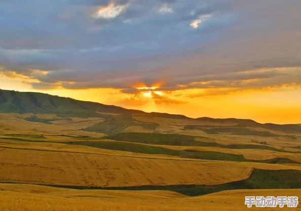 久久精品站，提供了丰富多彩的内容，让人流连忘返，真是个不错的平台！