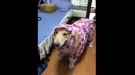 dioⅤsn沟厕BBw撒尿偷拍,真是让人震惊,这种行为太不道德了!希望能加强监管 dioⅤsn沟厕BBw撒尿偷拍,真是让人震惊,这种行为太不道德了!希望能加强监管