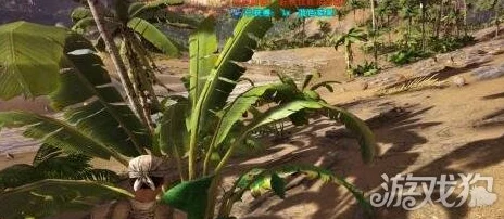 方舟生存进化:高效采摘果子技巧,快速收集果实攻略指南 方舟生存进化:高效采摘果子技巧,快速收集果实攻略指南