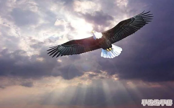 遮天盖地打一动物在生活中我们要像大鹏一样展翅高飞勇敢追梦无畏挑战让每一天都充满希望与力量 遮天盖地打一动物在生活中我们要像大鹏一样展翅高飞勇敢追梦无畏挑战让每一天都充满希望与力量