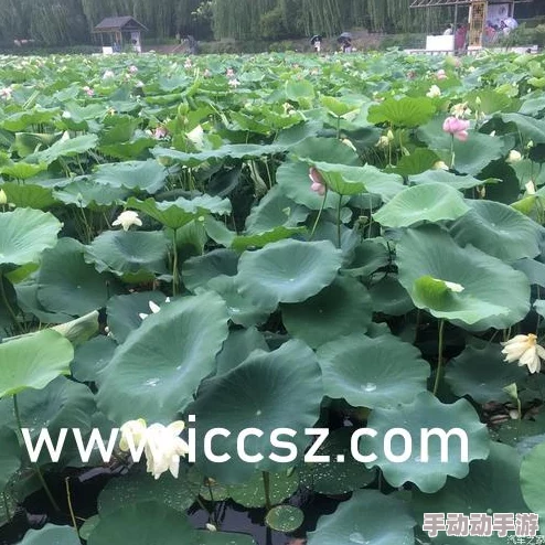 渔夫荒淫牲艳史未删 这部作品的内容真是让人震惊，情节大胆而直白，挑战了传统观念，引发了不少争议和讨论