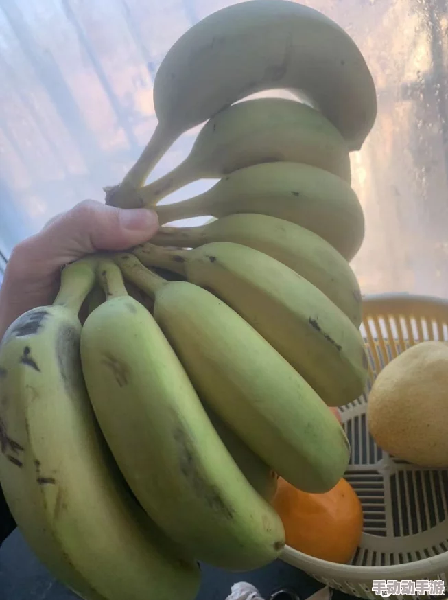 99久久一香蕉国产线看观看网友推荐这部影片情节紧凑画面精美让人欲罢不能非常适合喜欢轻松搞笑的观众观看 99久久一香蕉国产线看观看网友推荐这部影片情节紧凑画面精美让人欲罢不能非常适合喜欢轻松搞笑的观众观看