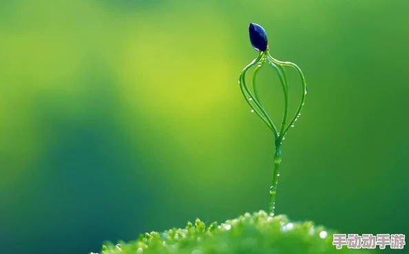 我的88星座新手玩法全面详解:掌握快速升级技巧与攻略” 我的88星座新手玩法全面详解:掌握快速升级技巧与攻略”