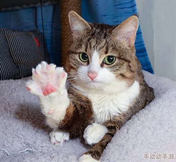 看黄色特级片 网友推荐这部影片情节紧凑画面精美让人欲罢不能绝对值得一看不容错过的精彩之作 看黄色特级片 网友推荐这部影片情节紧凑画面精美让人欲罢不能绝对值得一看不容错过的精彩之作