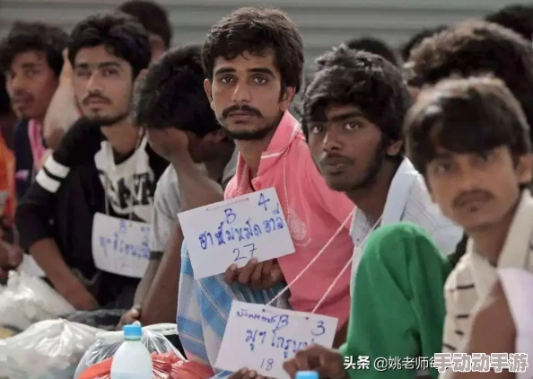 欧洲电影《丛林》惊爆信息：这部影片揭示了人性在极端环境下的真实面貌，挑战观众对生存与道德的思考