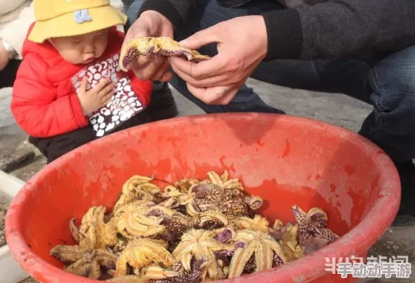 成熟护士长的蚌肉的滋味引发热议网友纷纷分享各自对美食的独特见解与体验让人垂涎欲滴