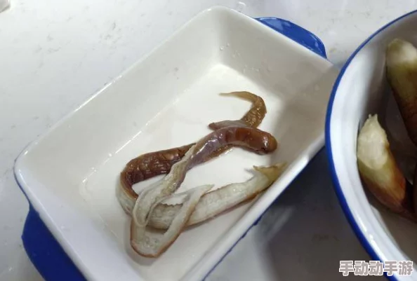 成熟护士长的蚌肉的滋味引发热议网友纷纷分享各自对美食的独特见解与体验让人垂涎欲滴