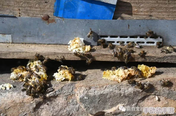 老王和皇后二三事第3关通关秘籍：巧妙倾斜手机解锁新挑战