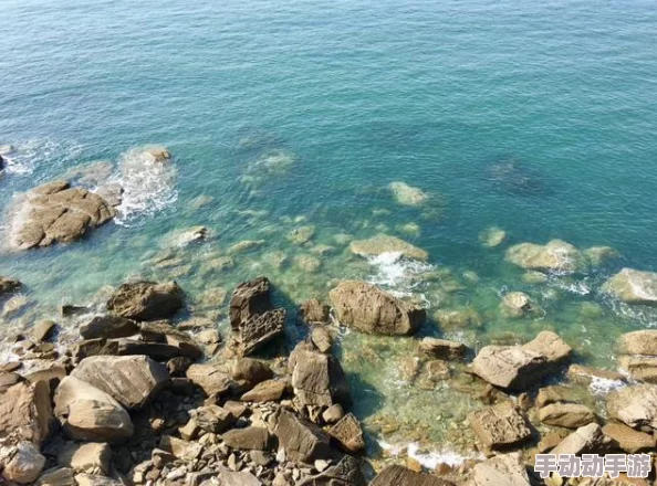 全民精灵小岛经营深度攻略：掌握秘诀，学做最优秀岛主秘籍