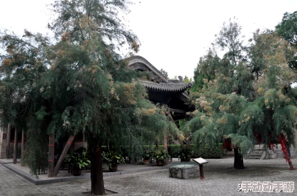 《永远的7日之都》建筑选择策略:深入解析游戏内建筑系统与最优搭配方案 《永远的7日之都》建筑选择策略:深入解析游戏内建筑系统与最优搭配方案